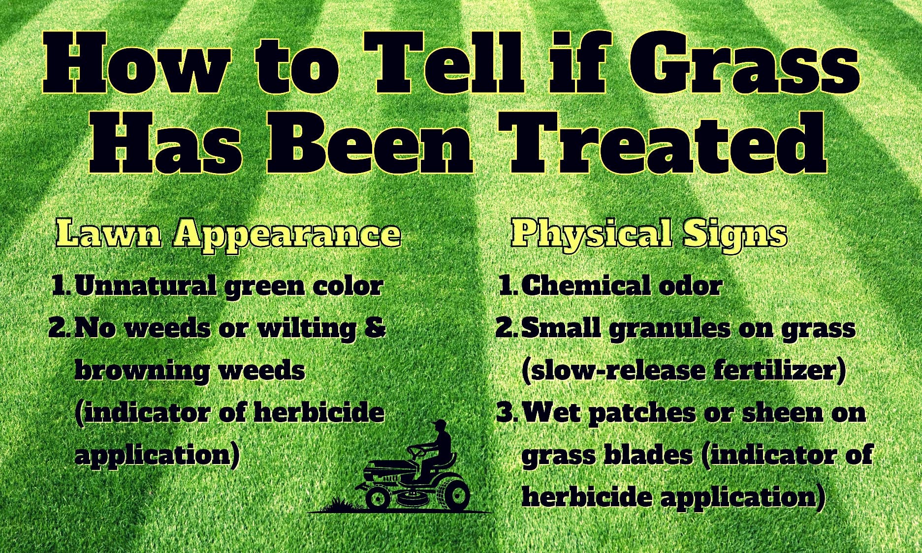 Why Do Dogs Eat Grass? A Veterinarian Answers - Parade Pets